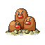 [Picture of Dugtrio]