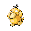 [Picture of Psyduck]