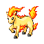 [Picture of Ponyta]