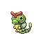 [Picture of Caterpie]