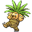 [Picture of Exeggutor]