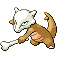 [Picture of Marowak]