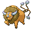 [Picture of Tauros]