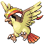 [Picture of Pidgeot]