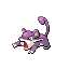 [Picture of Rattata]