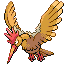 [Picture of Fearow]