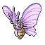 [Picture of Venomoth]