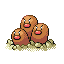 [Picture of Dugtrio]