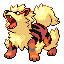 [Picture of Arcanine]