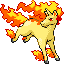 [Picture of Rapidash]