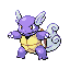 [Picture of Wartortle]