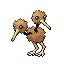 [Picture of Doduo]