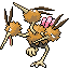 [Picture of Dodrio]