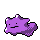 [Picture of Ditto]