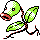 [Picture of Bellsprout]