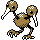 [Picture of Doduo]