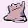 [Picture of Ditto]