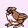 [Picture of Pidgey]