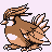 [Picture of Pidgeotto]