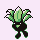 [Picture of Oddish]