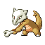 [Picture of Marowak]