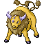 [Picture of Tauros]