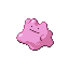 [Picture of Ditto]