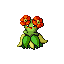 [Picture of Bellossom]