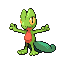 [Picture of Treecko]