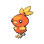 [Picture of Torchic]