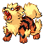 [Picture of Arcanine]