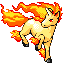 [Picture of Rapidash]