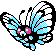 [Picture of Butterfree]