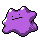 [Picture of Ditto]