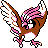 [Picture of Pidgeotto]