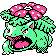 [Picture of Venusaur]