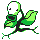 [Picture of Bellsprout]